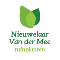 Nieuwelaar Van der Mee